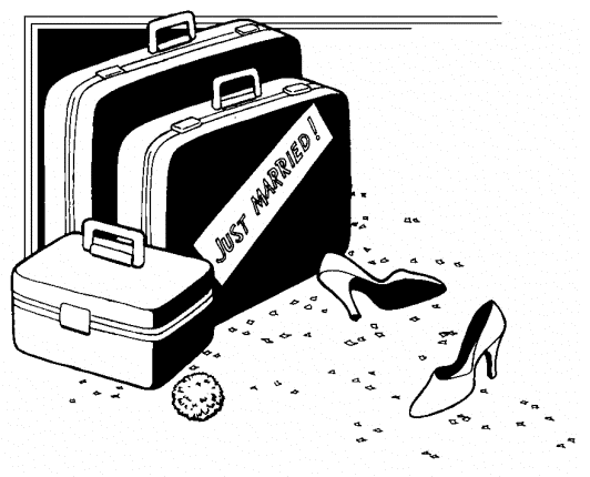 just married luggage