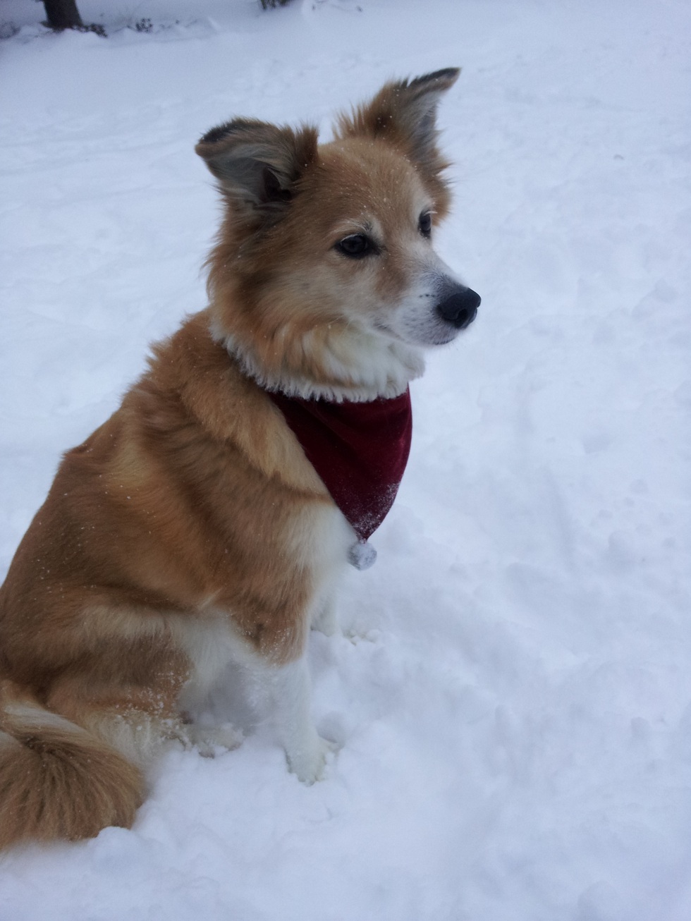 This image updates every few hours