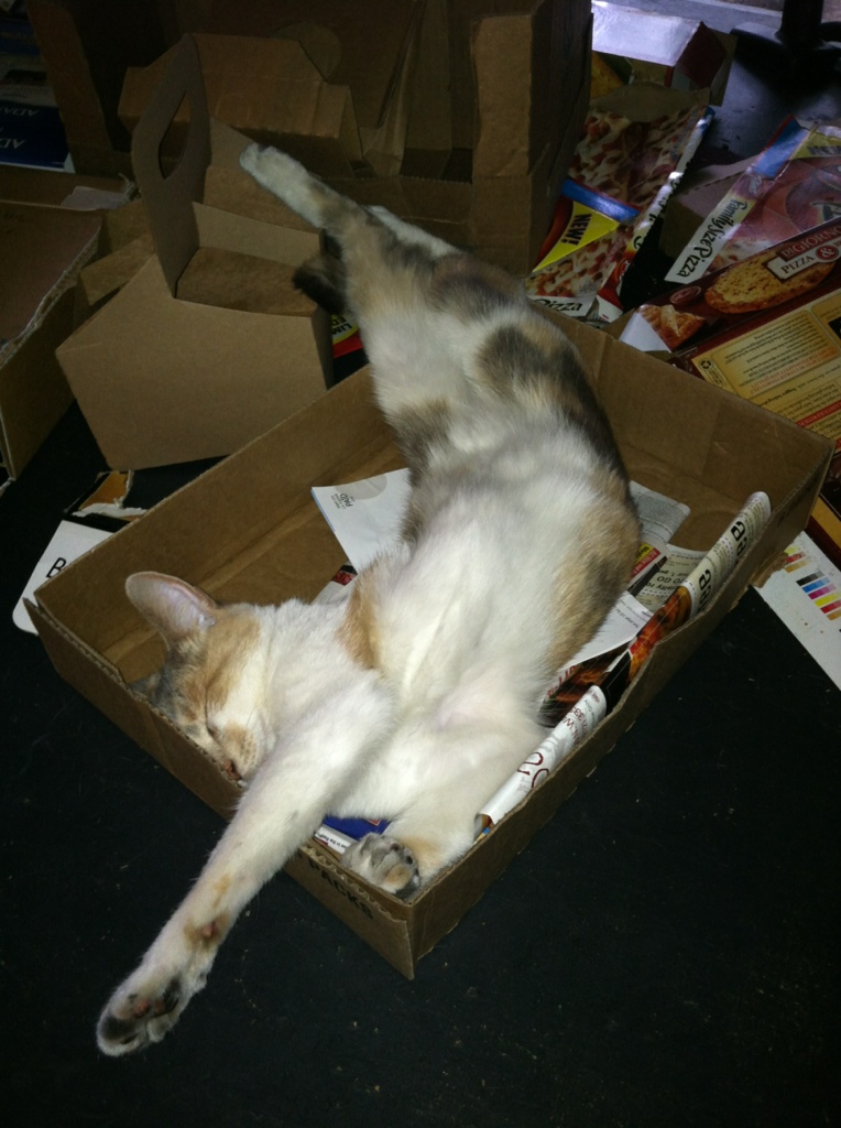 This image updates every few hours